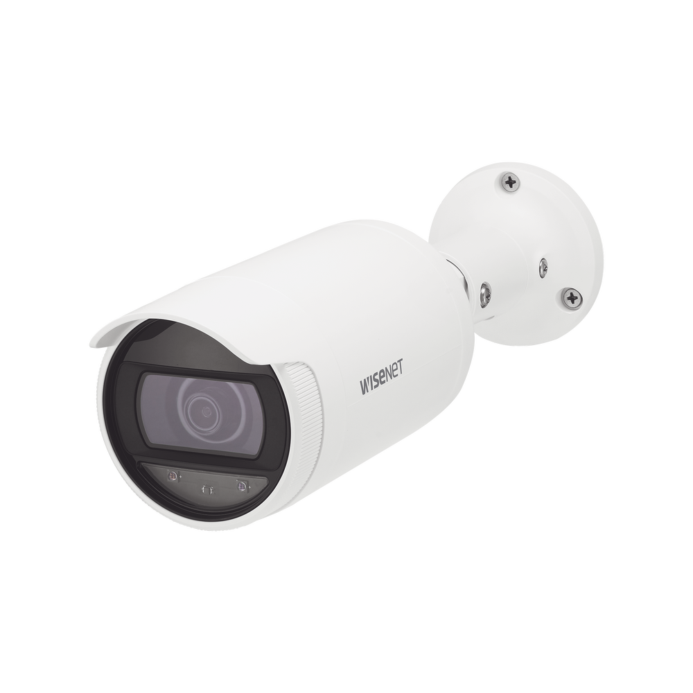 ANOL6012R-LAT-DER-l.png ANOL6012R-LAT-DER-l.png